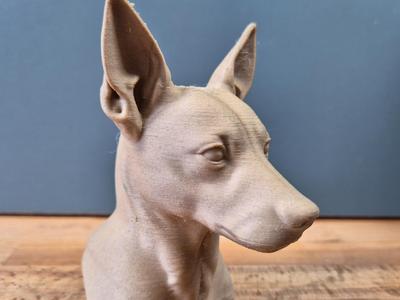 Rat Terrier Bust