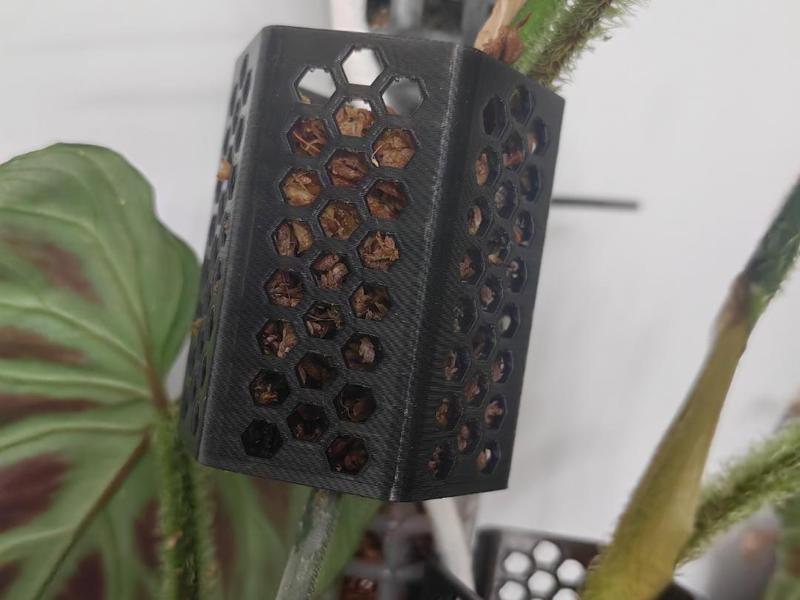 Water Moss Planting Basket