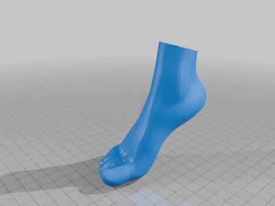 [Clipper Sleeve] sexy Foot