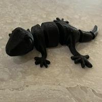Articulate Gecko