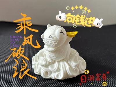 Riding the Waves, the Capriccio Charges Towards Fortune!