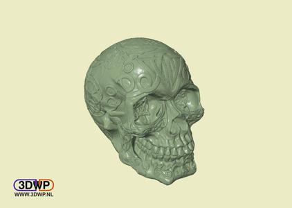 Celtic Skull (Hollow)