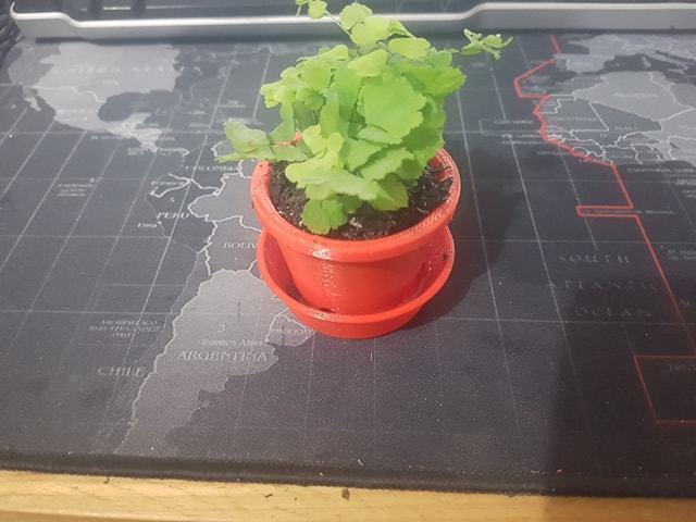 Mini Pot and water bucket
