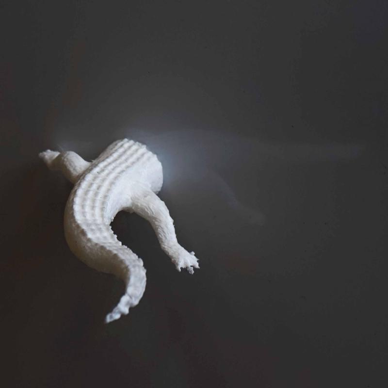 Animal Behinds : Crocodile - Fridge Magnet and Wall decoration
