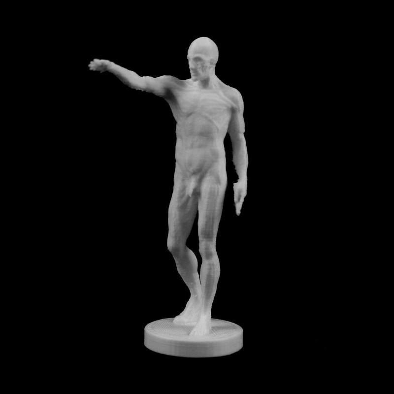 Flayed Man at The Louvre, Paris