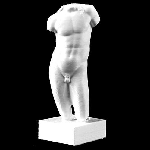 Torso of Dionysus at the Cinquantenaire Museum of Brussels, Belgium