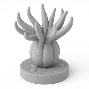 Frucht der Buddha’s Hand