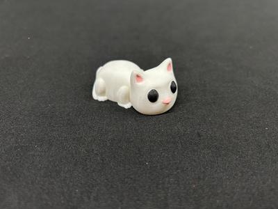 Cute Cat