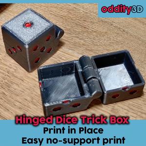 Hinged Dice Trick Box
