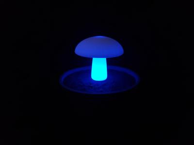 Bioluminescent Mushroom Light