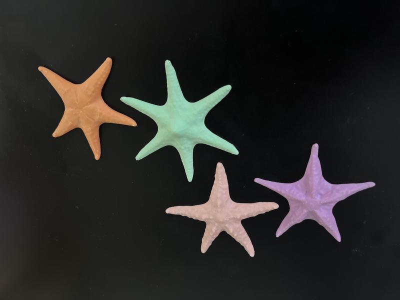 Starfish Ref Magnet
