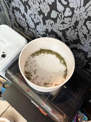 Herb Trimmer