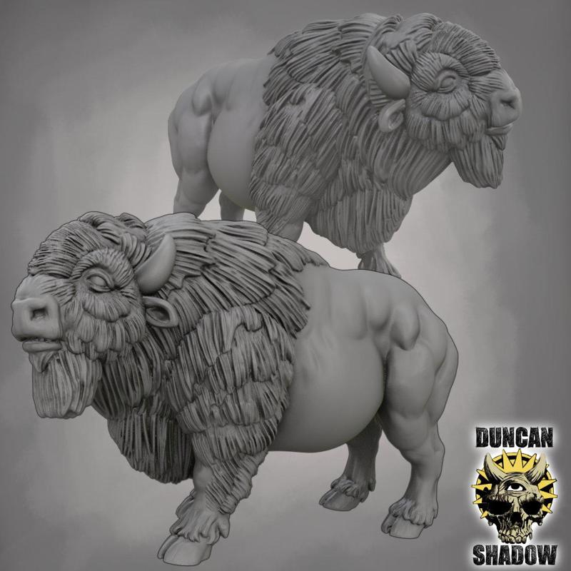 American Buffalos (Pre Supported)