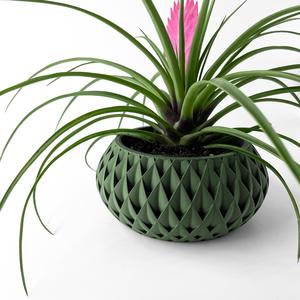 The Cinor Planter Pot with Drainage Tray & Stand Included | Modern and Unique Home Decor