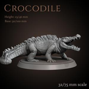 Crocodile