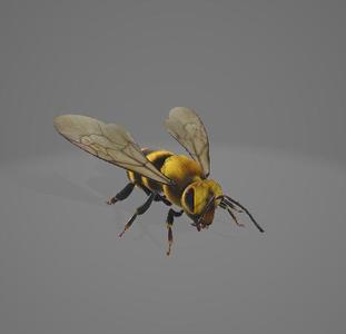 Swap_Bee_Animted.glb