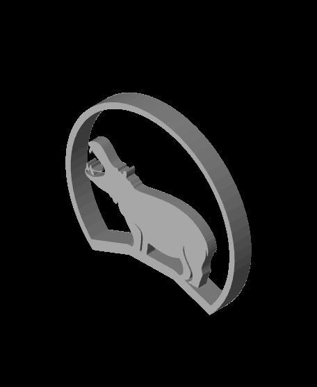 Hippo_Ear