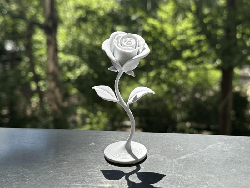 Aesthetic minimalist flower