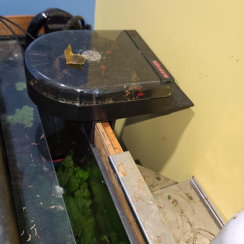 Automatic Feeder Stand