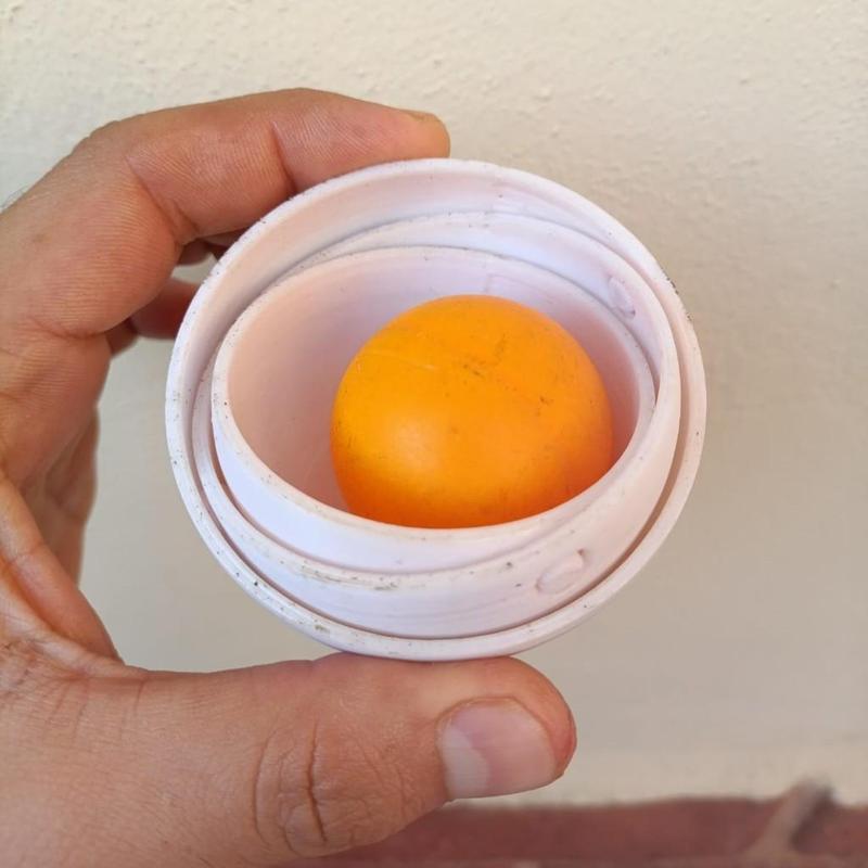 Gyro Bowl, Tazón Giratorio