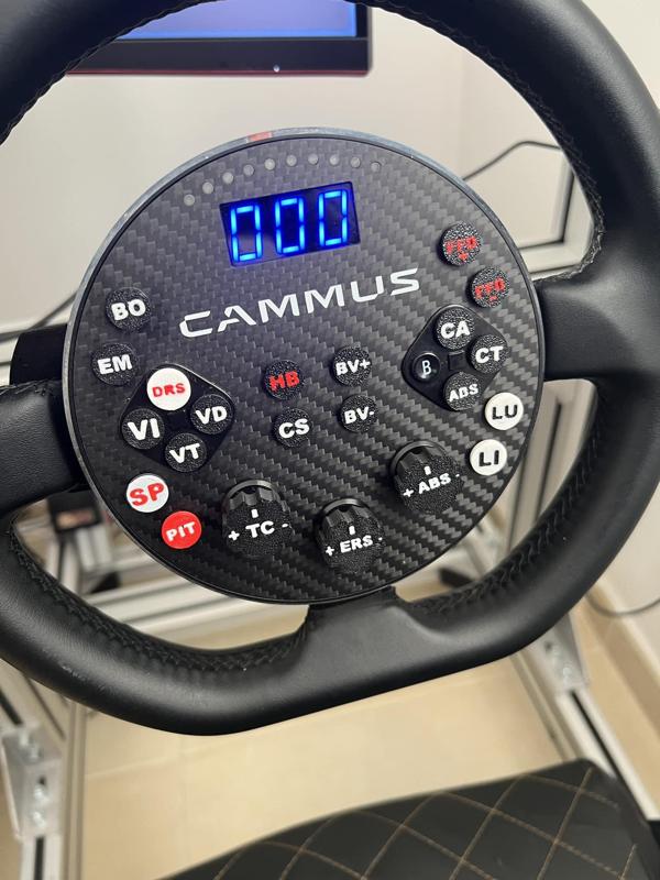 Mod botones volante Cammus C5