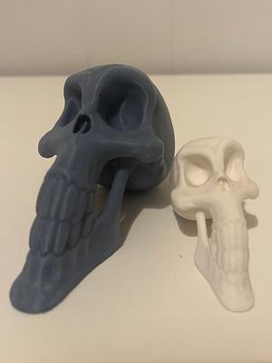 Toon Skull