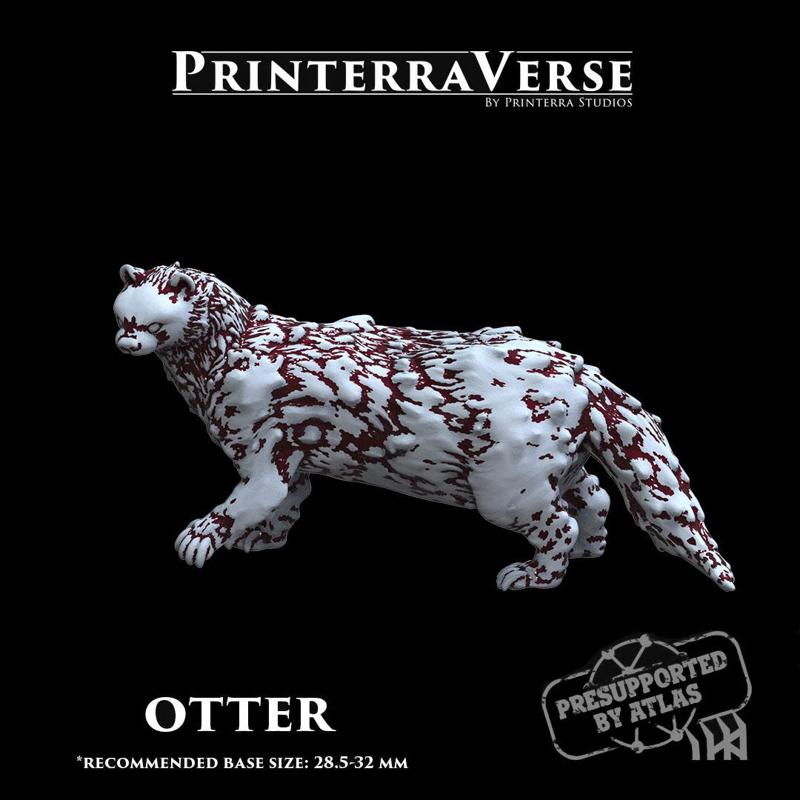 004 ANIMAL River Otter