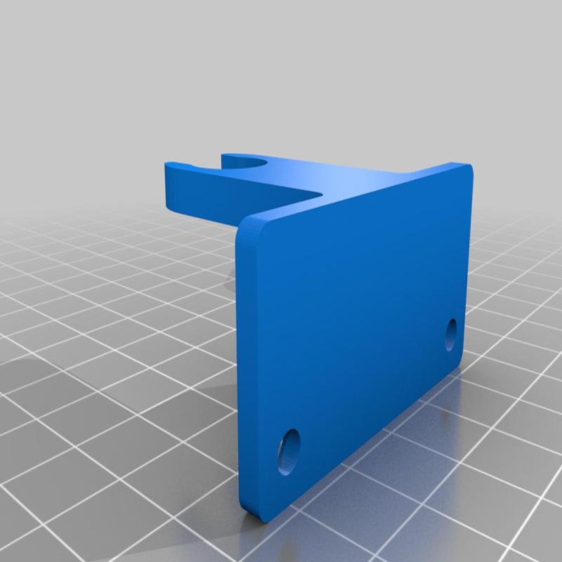 Coral feeder support