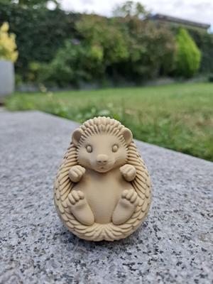 Hedge-Roll Hero — Adorable Hedgehog