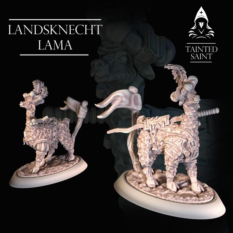 Lama Landsknecht