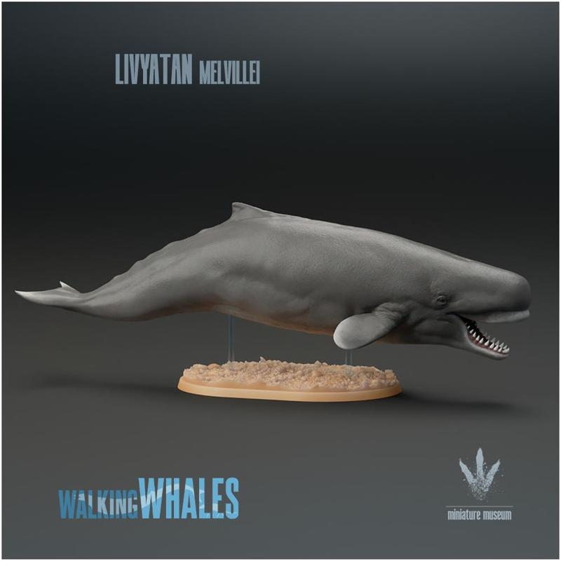 Livyatan melvillei : The Sea Monster