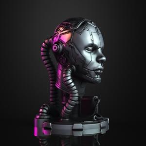 Cyborg (Pre-Supported)