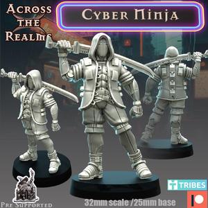 Cyber Ninja