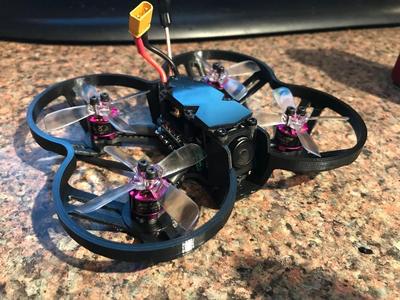 X2 Elf prop guard with camera holder