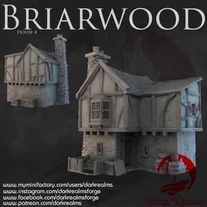 Dark Realms - Briarwood - House 4