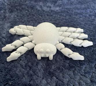 Spider