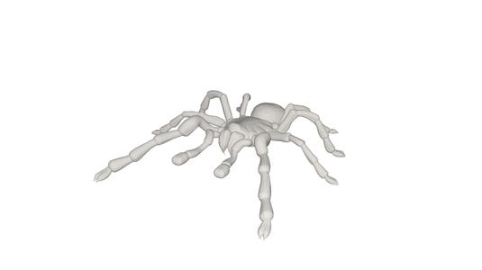 Tarantulas