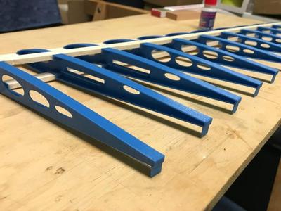 PLASTIKANT -  a simple flying RC wing