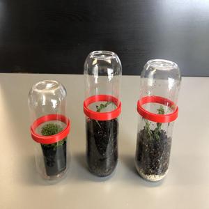 Tennis Ball Can Terrarium Ring