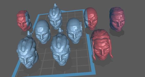 Space Lions Heads