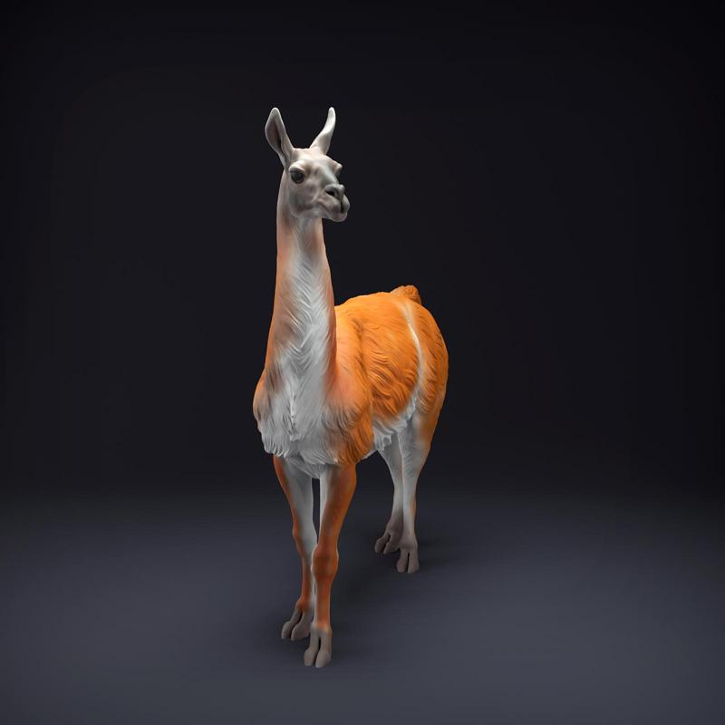 Guanaco
