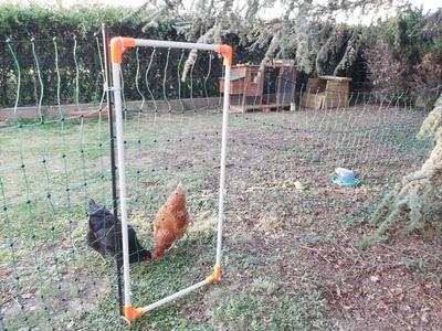 Porte enclos à Poules 