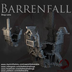 Dark Realms - Barrenfall - Shop Ruins