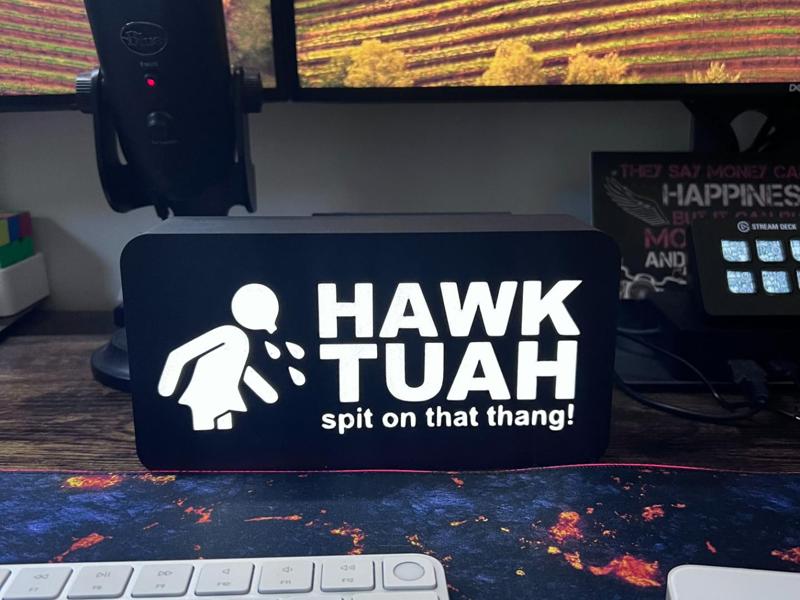 Hawk Tuah - Spit on that hang!