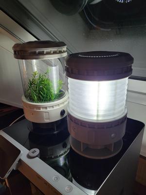 Scifi Plant Cylinder/Lantern
