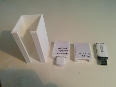Case for USB memory sticks