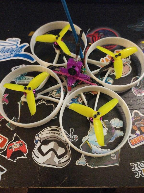 Microblivion II Ducted Frame