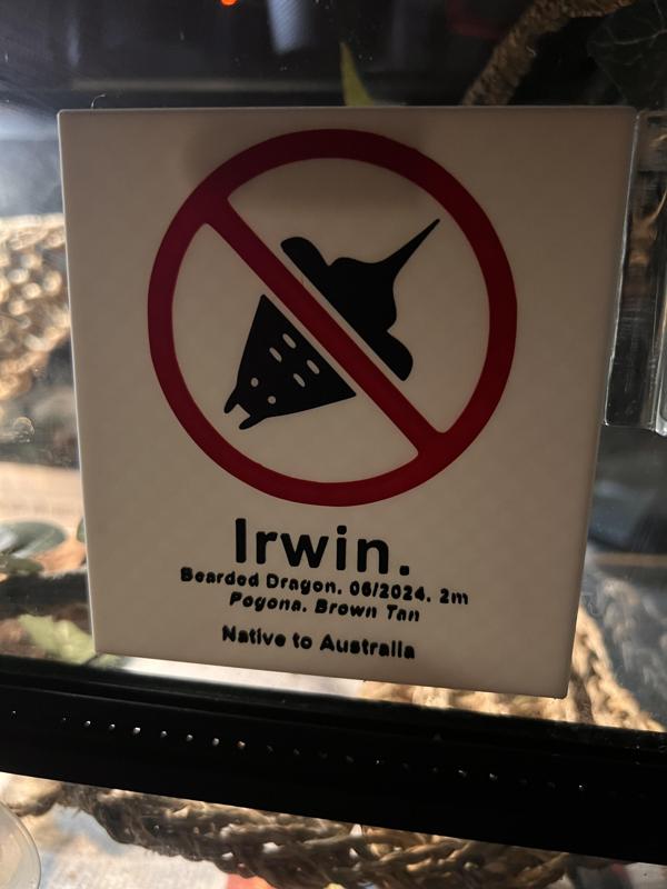 No Sting Rays Bearded Dragon Sign