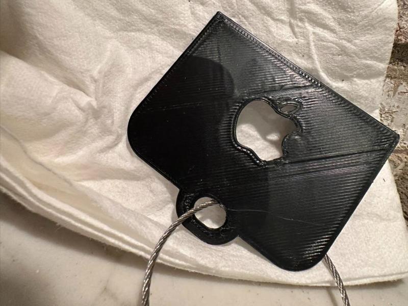 phone lanyard/strap