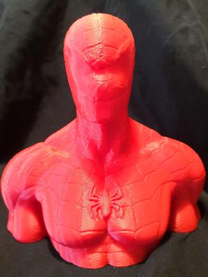 Spiderman Bust